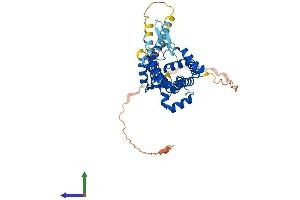 AlphaFold protein structure predicition of Mouse Recombinant Mtch1 Protein, UniprotID Q791T5