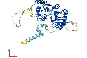 AlphaFold protein structure predicition of Mouse Recombinant Cdc123 Protein, UniprotID Q8CII2 (CDC123 Protein (AA 1-336) (His tag))
