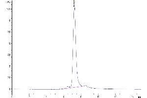 Size-exclusion chromatography-High Pressure Liquid Chromatography (SEC-HPLC) image for Triggering Receptor Expressed On Myeloid Cells-Like 2 (TREML2) (AA 19-268) protein (His tag) (ABIN7275749)