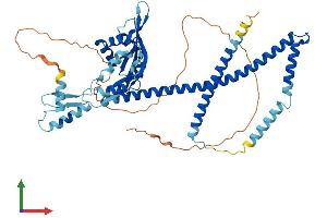 AlphaFold protein structure predicition of Human Recombinant NUP54 Protein, UniprotID Q7Z3B4 (NUP54 Protein (AA 1-507) (His tag))
