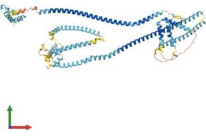AlphaFold protein structure predicition of Human Recombinant HAUS5 Protein, UniprotID O94927 (HAUS5 Protein (AA 1-633) (His tag))