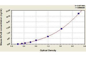 Nuclear Factor of kappa Light Polypeptide Gene Enhancer in B-Cells 1 (NFKB1) ELISA Kit