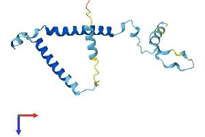 Protein Structure (PS) image for Phosphatidylinositol Glycan Anchor Biosynthesis, Class P (PIGP) (AA 1-158) protein (His tag) (ABIN7550847)