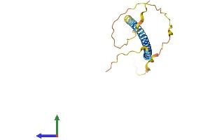 Protein Structure (PS) image for Short Coiled-Coil Protein (SCOC) (AA 1-159) protein (His tag) (ABIN7546031)