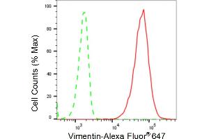 Flow cytometric analysis of Vimentin expression in C2C12 cells using Vimentin antibody (ABIN7800839), 1:2,000).