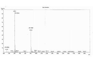 Image no. 1 for Prepronociceptin (PNOC) peptide (Ovalbumin) (ABIN5666363)