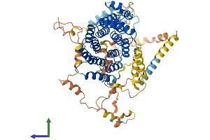 AlphaFold protein structure predicition of Human Recombinant PEX5 Protein, UniprotID P50542 (PEX5 Protein (AA 1-639) (His tag))