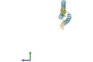AlphaFold protein structure predicition of Human Recombinant LRRC37A5P Protein, UniprotID Q49AS3 (LRRC37A5P Protein (AA 1-106) (His tag))