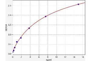 MAT1A ELISA Kit