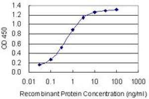 Detection limit for recombinant GST tagged PRRX1 is 0. (PRRX1 antibody  (AA 1-90))