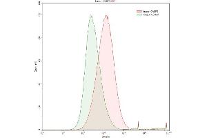 Flow Cytometry (FACS) image for anti-Caspase 8 (CASP8) (AA 217-384) antibody (ABIN7432745)