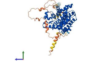 AlphaFold protein structure predicition of Mouse Recombinant Pde7a Protein, UniprotID P70453 (PDE7A Protein (AA 1-456) (His tag))