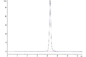 Size-exclusion chromatography-High Pressure Liquid Chromatography (SEC-HPLC) image for Tumor Necrosis Factor (Ligand) Superfamily, Member 15 (TNFSF15) (AA 91-251), (Trimer) protein (His-DYKDDDDK Tag) (ABIN7274680)