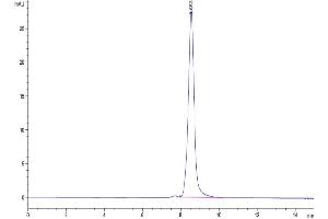 The purity of Human TNFSF15 Trimer is greater than 95 % as determined by SEC-HPLC. (TNFSF15 Protein (Trimer) (His-DYKDDDDK Tag))