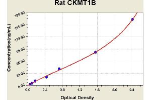 Diagramm of the ELISA kit to detect Rat CKMT1Bwith the optical density on the x-axis and the concentration on the y-axis. (CKMT1B ELISA Kit)
