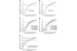qRT-PCR-based microneutralization of RSV (qPCR-MN). (Guinea Pig Complement (Lyophilized) With Diluent)
