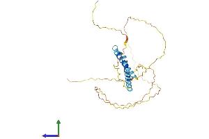 AlphaFold protein structure predicition of Human Recombinant FRG2C Protein, UniprotID A6NGY1 (FRG2C Protein (AA 1-282) (His tag))