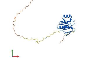 Protein Structure (PS) image for NADH Dehydrogenase (Ubiquinone) Complex I, Assembly Factor 3 (NDUFAF3) (AA 1-185) protein (His tag) (ABIN7561640)
