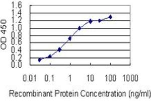 Detection limit for recombinant GST tagged SYT13 is 0. (SYT13 antibody  (AA 36-135))
