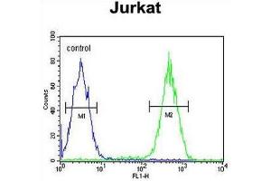 CD11b Antibody (N-term) flow cytometric analysis of Jurkat cells (right histogram) compared to a negative control cell (left histogram).