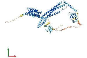 AlphaFold protein structure predicition of Human Recombinant ARHGEF37 Protein, UniprotID A1IGU5
