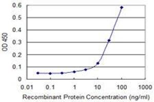 Detection limit for recombinant GST tagged AK1 is approximately 10ng/ml as a capture antibody. (Adenylate Kinase 1 antibody  (AA 1-194))