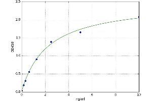 A typical standard curve (RAP1A ELISA Kit)