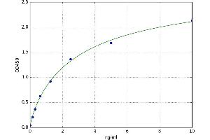 A typical standard curve