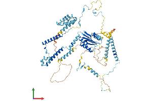 Protein Structure (PS) image for PRP3 Pre-mRNA Processing Factor 3 Homolog (PRPF3) (AA 1-683) protein (His tag) (ABIN7551048)
