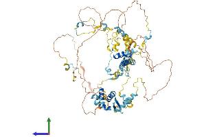 AlphaFold protein structure predicition of Human Recombinant NCAPH Protein, UniprotID Q15003