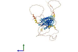 Protein Structure (PS) image for SH2B Adaptor Protein 3 (SH2B3) (AA 1-548) protein (His tag) (ABIN7562241)