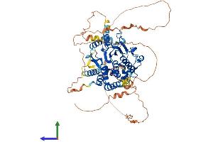 AlphaFold protein structure predicition of Mouse Recombinant Mtmr14 Protein, UniprotID Q8VEL2 (MTMR14 Protein (AA 1-648) (His tag))