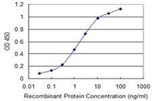 Detection limit for recombinant GST tagged CNN1 is 0. (CNN1 antibody  (AA 1-297))