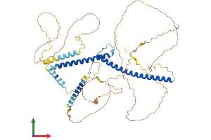 AlphaFold protein structure predicition of Human Recombinant TFE3 Protein, UniprotID P19532 (TFE3 Protein (AA 1-575) (His tag))