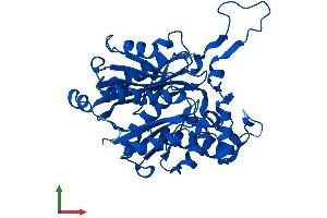 Protein Structure (PS) image for Acetyl-CoA Acyltransferase 2 (ACAA2) (AA 1-397) protein (His tag) (ABIN7544375)