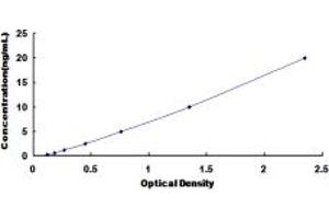 Typical standard curve (GRIN2D ELISA Kit)