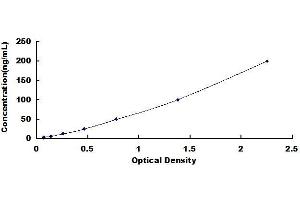 Typical standard curve (IGF1 ELISA Kit)