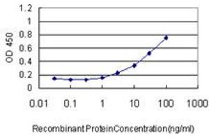 Detection limit for recombinant GST tagged ACO1 is approximately 0. (Aconitase 1 antibody  (AA 780-889))