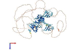 AlphaFold protein structure predicition of Mouse Recombinant Rbm12b2 Protein, UniprotID Q66JV4 (RBM12B2 Protein (AA 1-834) (His tag))