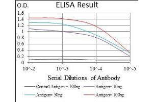 Black line: Control Antigen (100 ng), Purple line: Antigen(10 ng), Blue line: Antigen (50 ng), Red line: Antigen (100 ng), (Trefoil Factor 2 antibody  (AA 20-125))