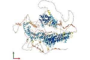 AlphaFold protein structure predicition of Mouse Recombinant Map3k4 Protein, UniprotID O08648
