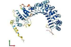 AlphaFold protein structure predicition of Human Recombinant PRAMEF13 Protein, UniprotID Q5VWM6 (PRAMEF13 Protein (AA 1-474) (His tag))