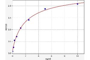 NG2 ELISA Kit