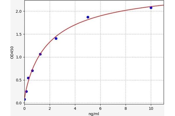 NG2 ELISA Kit