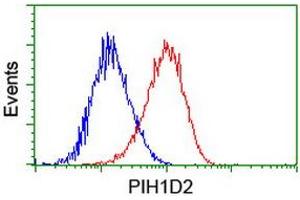 Image no. 5 for anti-PIH1 Domain Containing 2 (PIH1D2) (AA 1-315) antibody (ABIN1490740)