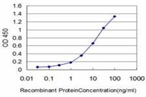 Detection limit for recombinant GST tagged GNAI2 is approximately 0. (GNAI2 antibody  (AA 1-339))