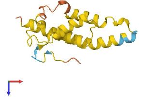 TOR1AIP2 Protein (AA 1-131) (His tag)