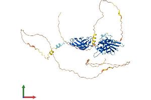 AlphaFold protein structure predicition of Mouse Recombinant Relb Protein, UniprotID Q04863