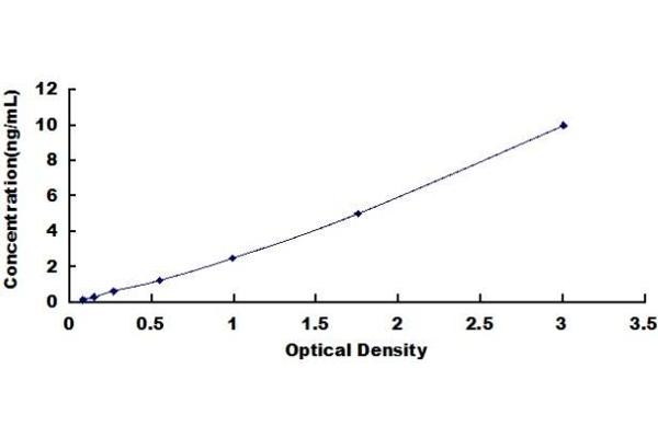 DOT1L ELISA Kit