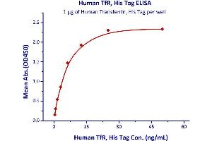 Immobilized Human Transferrin, His Tag  with a linear range of 0.